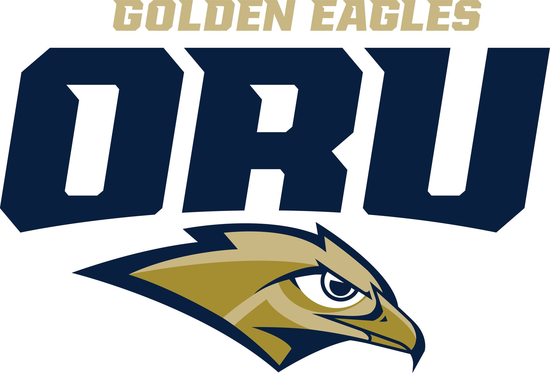 Oral Roberts Golden Eagles 2017-Pres Primary Logo DIY iron on transfer (heat transfer)